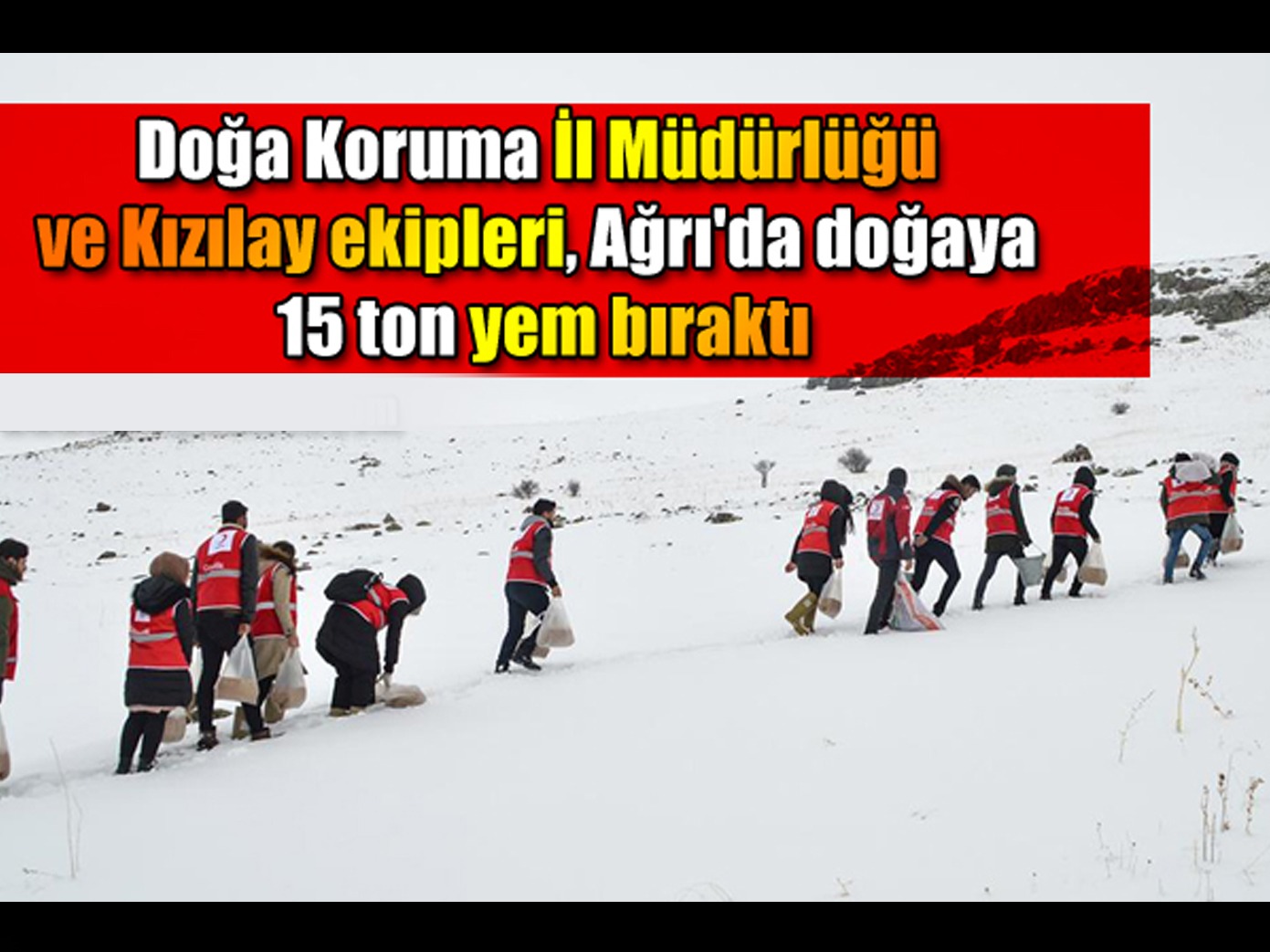 Doğa Koruma İl Müdürlüğü ve Kızılay ekipleri, Ağrı'da doğaya 15 ton yem bıraktı