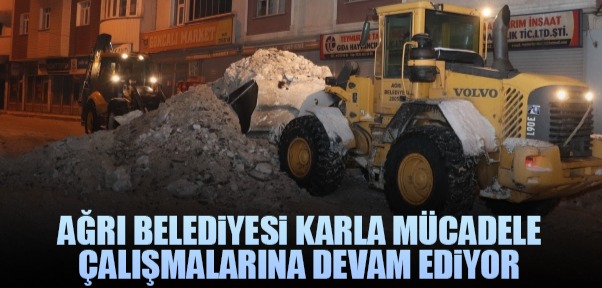 Ağrı Belediyesi Karla Mücadele Çalışmalarına Devam Ediyor