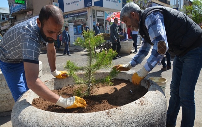 Patnos'ta binlerce çiçek ve ağaç toprakla buluşturuluyor.