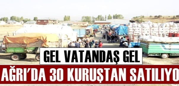 Ağrı'da Saman 30 Kuruştan Satılıyor.