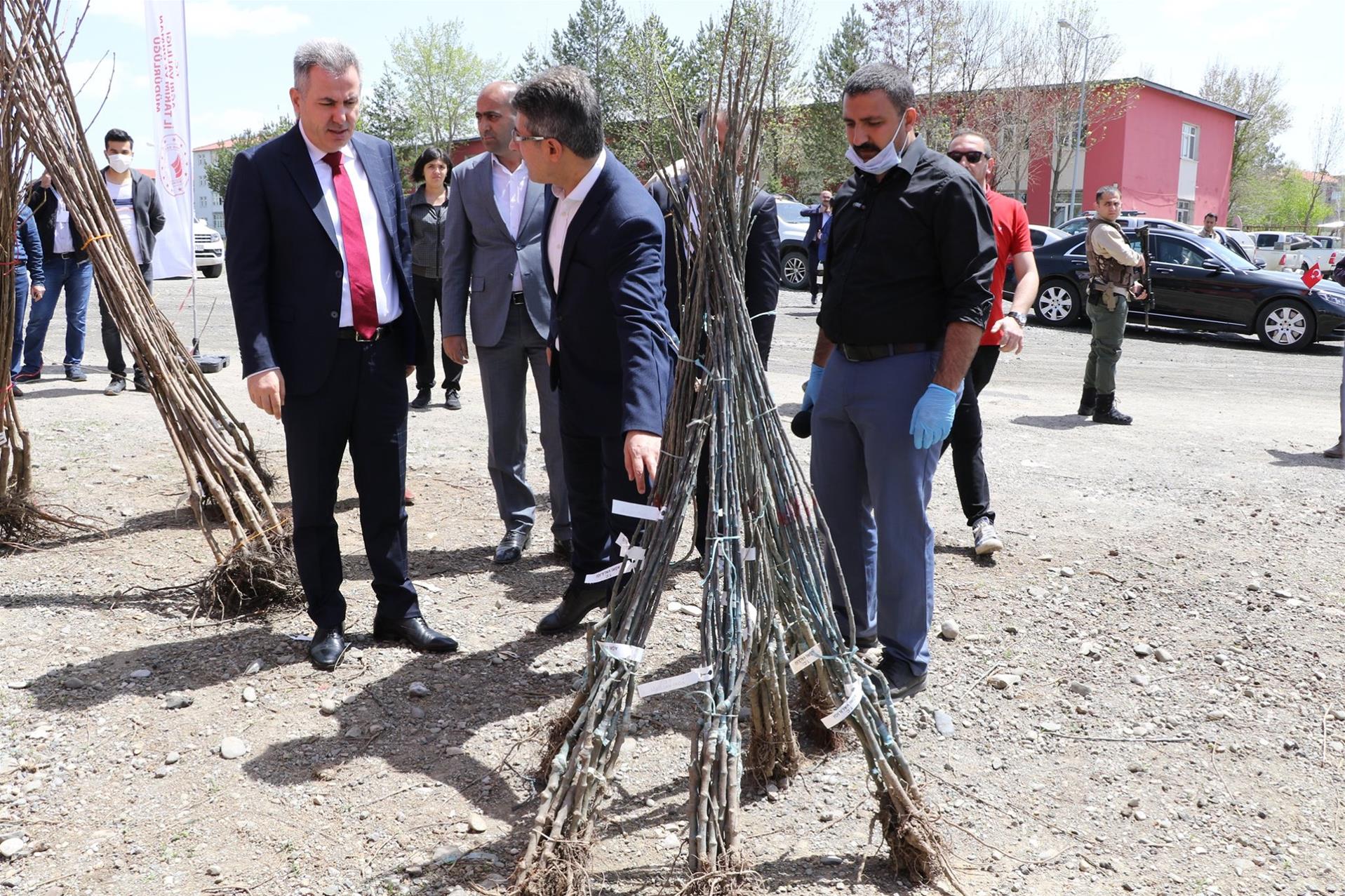 AĞRILI ÜRETİCİLERE 60.000 ADET MEYVE FİDANI DAĞITILDI