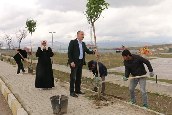 Diyadin Belediyesi fidanları toprakla buluşturmaya devam ediyor.