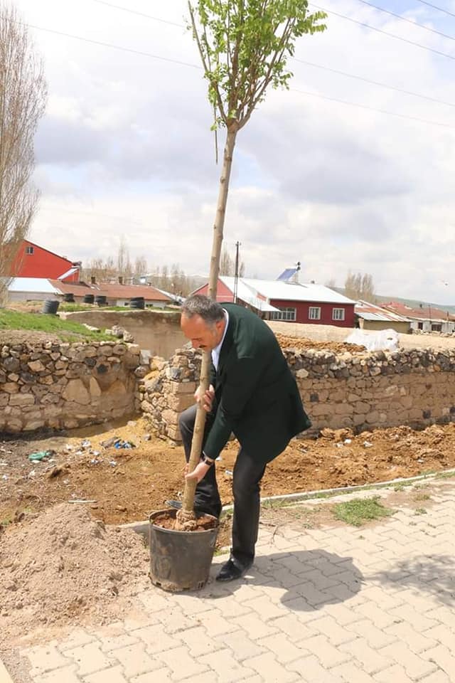 Diyadin Belediyesi fidanları toprakla buluşturmaya devam ediyor.