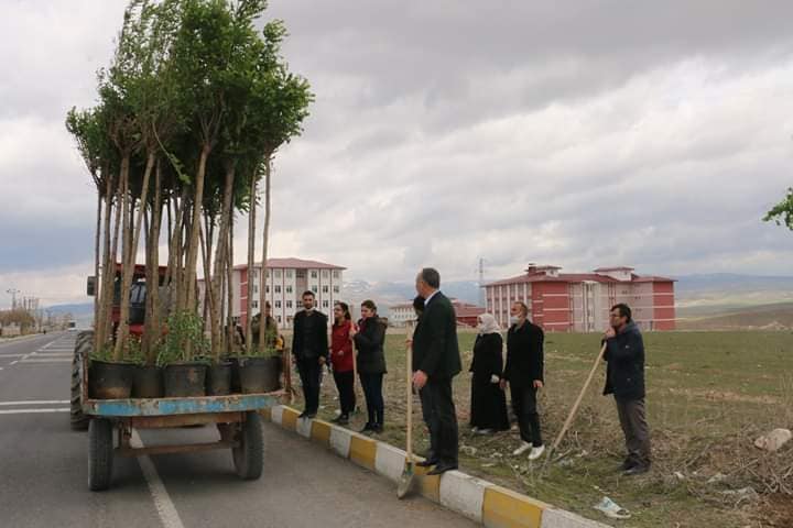 Diyadin Belediyesi fidanları toprakla buluşturmaya devam ediyor.