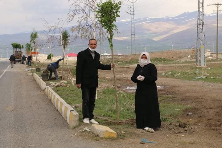 Diyadin Belediyesi fidanları toprakla buluşturmaya devam ediyor.