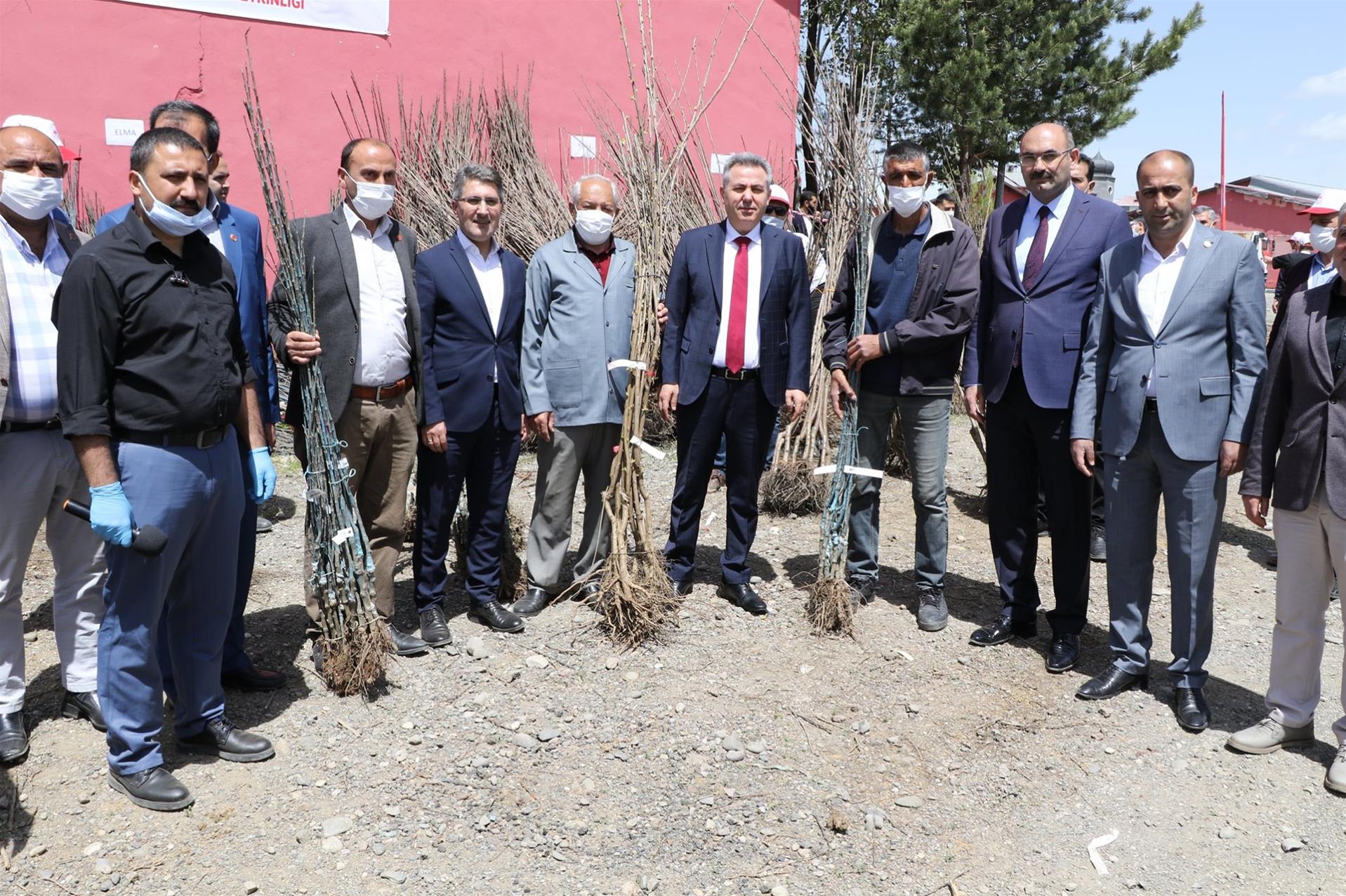 AĞRILI ÜRETİCİLERE 60.000 ADET MEYVE FİDANI DAĞITILDI