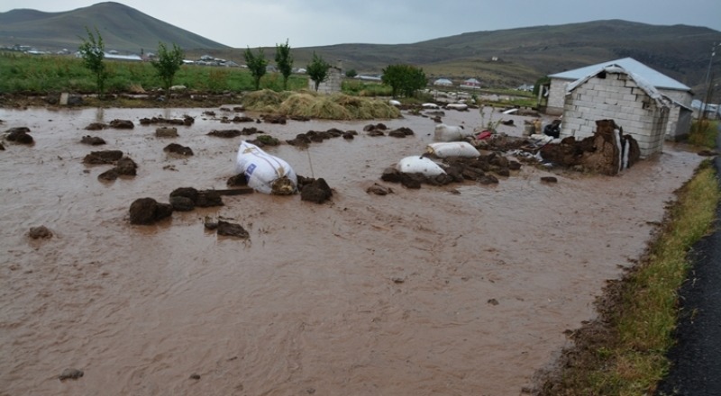 Sağanak yağmur Ağrı Patnos ilçesi köylerinin Göle çevirdi