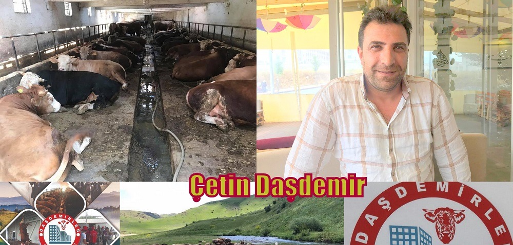 DAŞDEMİR BESİCİLİĞİ YÜKSELİŞİ SÜRÜYOR.