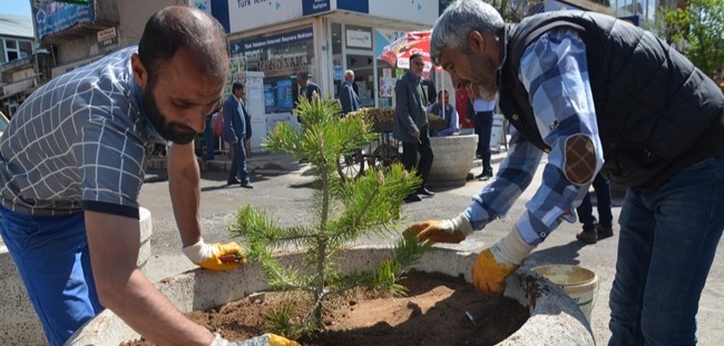 Patnos'ta binlerce çiçek ve ağaç toprakla buluşturuluyor.