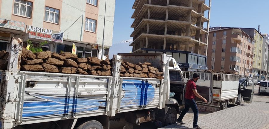 DOĞUBAYAZIT’TA TEZEK SATIŞLARI BAŞLADI…