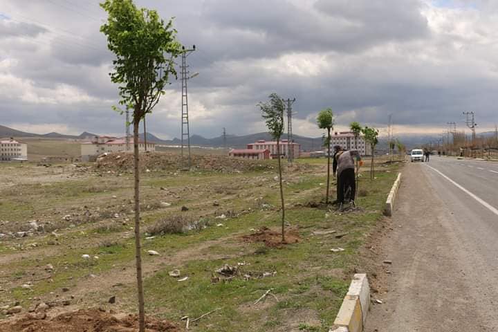 Diyadin Belediyesi fidanları toprakla buluşturmaya devam ediyor.