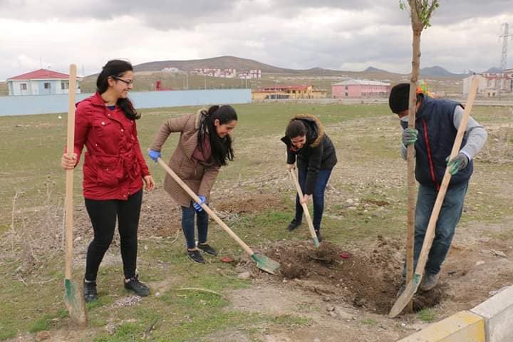 Diyadin Belediyesi fidanları toprakla buluşturmaya devam ediyor.