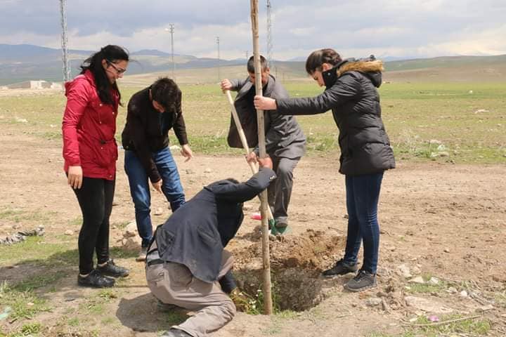 Diyadin Belediyesi fidanları toprakla buluşturmaya devam ediyor.