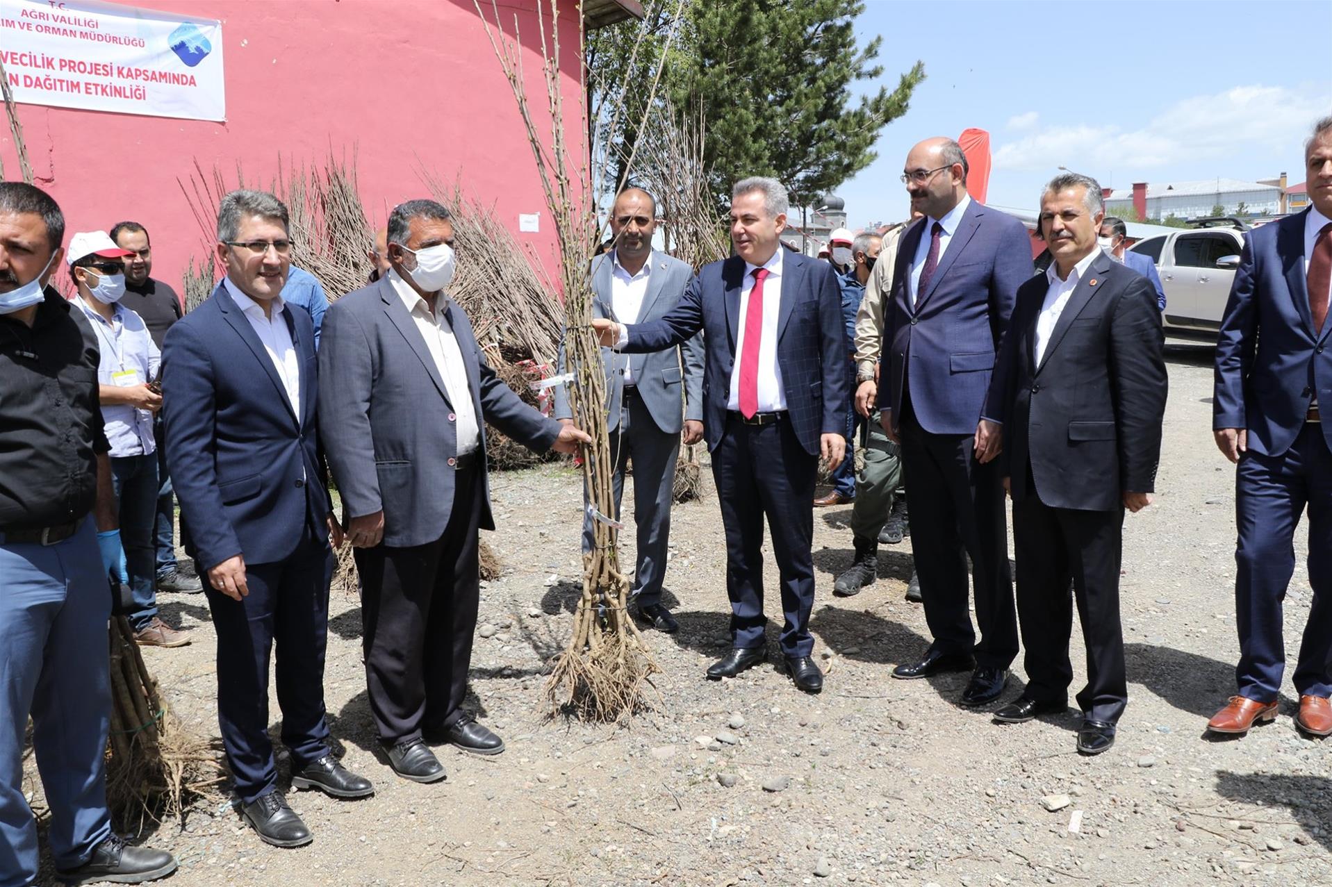 AĞRILI ÜRETİCİLERE 60.000 ADET MEYVE FİDANI DAĞITILDI