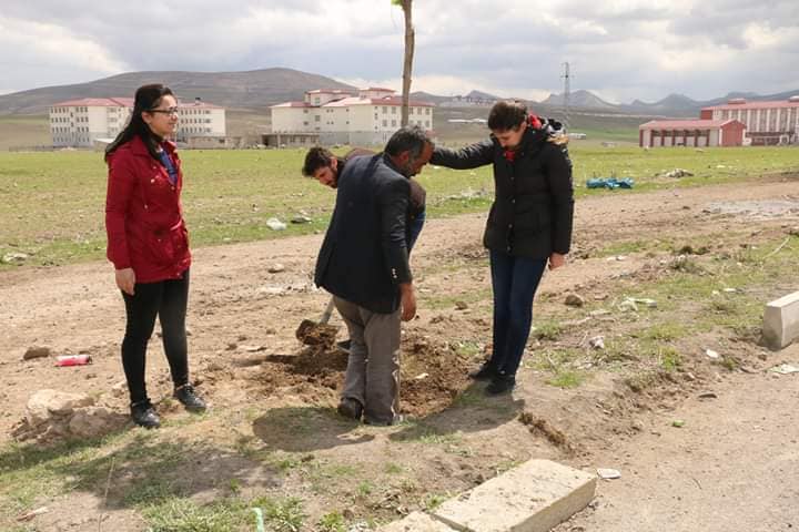 Diyadin Belediyesi fidanları toprakla buluşturmaya devam ediyor.