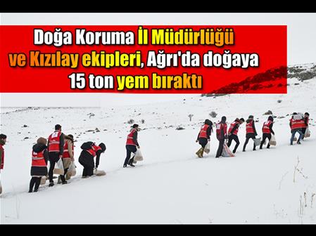 Doğa Koruma İl Müdürlüğü ve Kızılay ekipleri, Ağrı'da doğaya 15 ton yem bıraktı