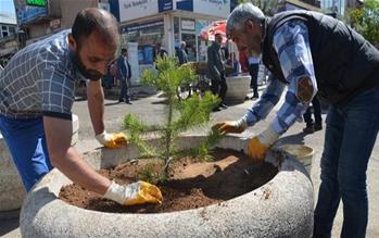 Patnos'ta binlerce çiçek ve ağaç toprakla buluşturuluyor.