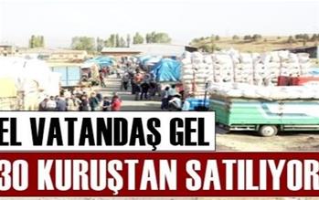 Ağrı'da Saman 30 Kuruştan Satılıyor.