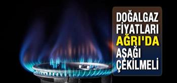 Doğalgaz Fiyatları Ağrı'da Aşağı Çekilmeli