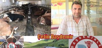 DAŞDEMİR BESİCİLİĞİ YÜKSELİŞİ SÜRÜYOR.